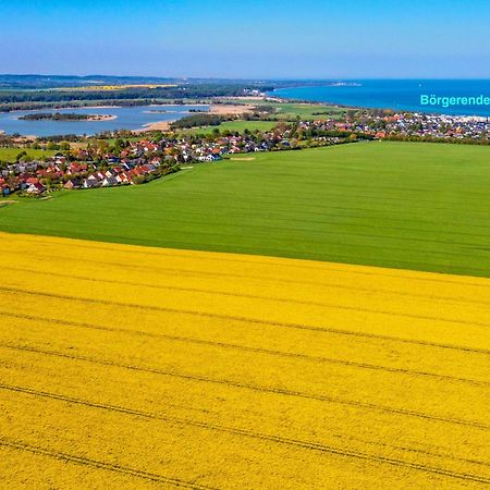 Villa Deichgraf 12 "Meerblick" Börgerende-Rethwisch Zewnętrze zdjęcie